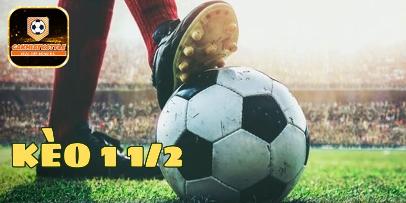 Bật Mí Kinh Nghiệm Chơi Kèo 1 1/2 Nhận Tiền Thắng Lớn